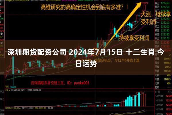 深圳期货配资公司 2024年7月15日 十二生肖 今日运势