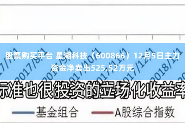 股票购买平台 星湖科技（600866）12月5日主力资金净卖出525.52万元