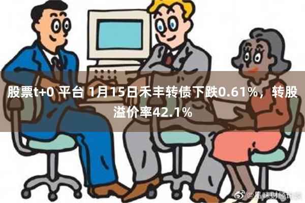 股票t+0 平台 1月15日禾丰转债下跌0.61%，转股溢价率42.1%